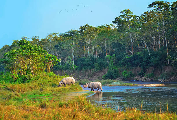 Tour Image 11